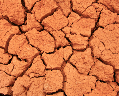 A close up image of cracked, red earth