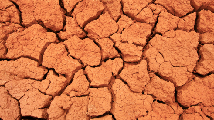 A close up image of cracked, red earth