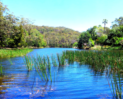 Idyllic waterway within a Sydney national park