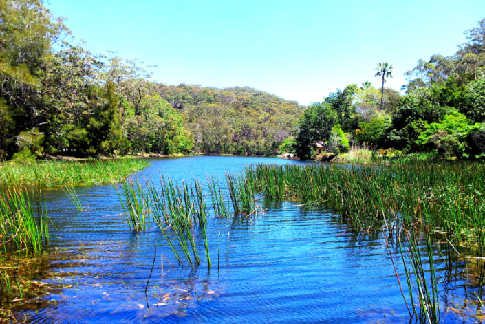 Idyllic waterway within a Sydney national park